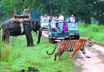 Nainital Mussoorie Corbett