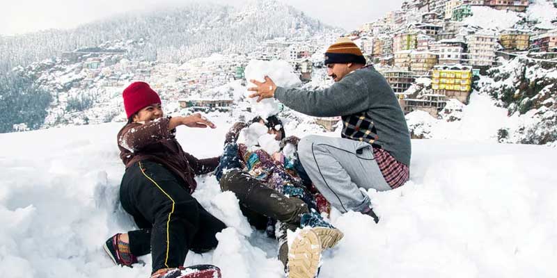 shimla manali Tour